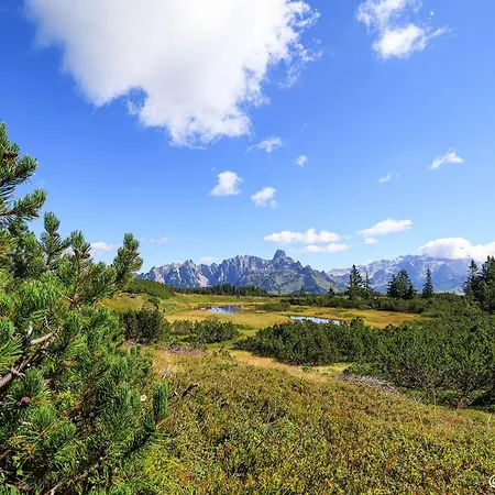 Domek alpejski Ferienhaus Trinker